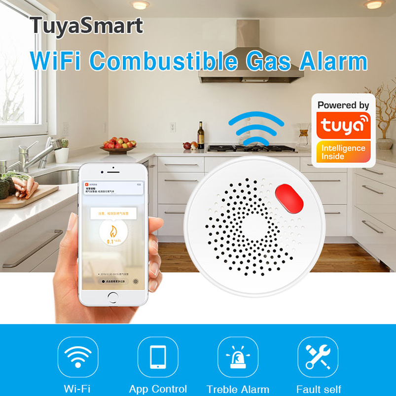EU/US/UK Tuya Smart Home 2.4G  - огляд і ціна Smart Home Networking
