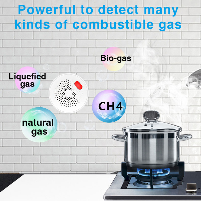 EU/US/UK Tuya Smart Home 2.4G  - огляд і ціна Smart Home Networking