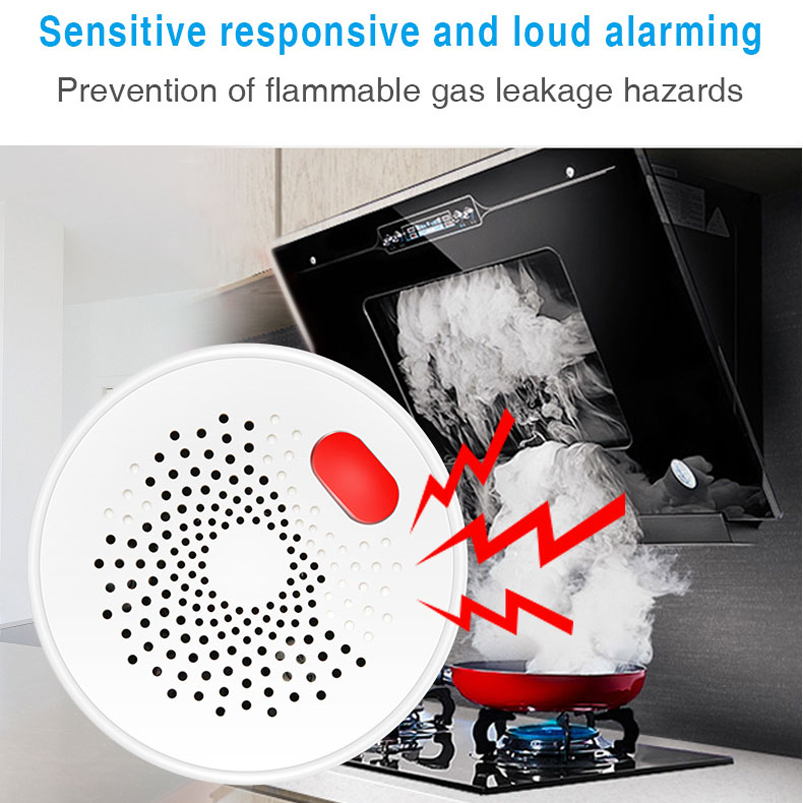 EU/US/UK Tuya Smart Home 2.4G  - огляд і ціна Smart Home Networking