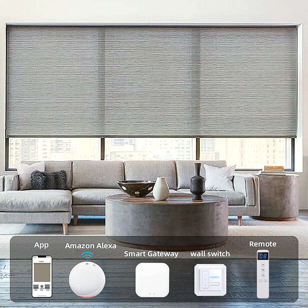 Motorized Rechargeable Remote  - огляд і ціна Smart Home Blinds