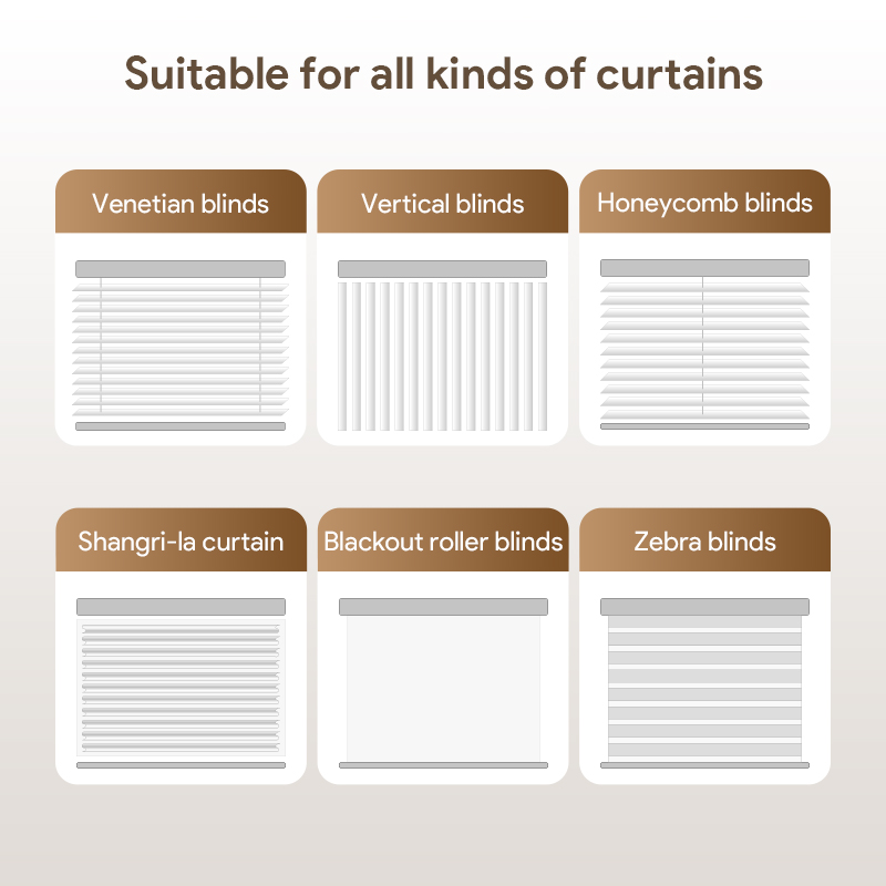 ORYZIC Tuya Bluetooth Roller B - огляд і ціна Smart Home Blinds